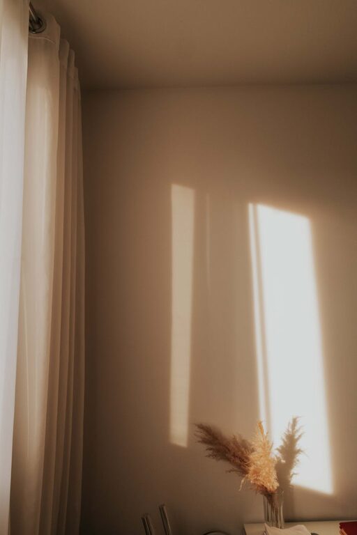 Simple Tips to Improve Your Home’s Energy Efficiency Year-Round
